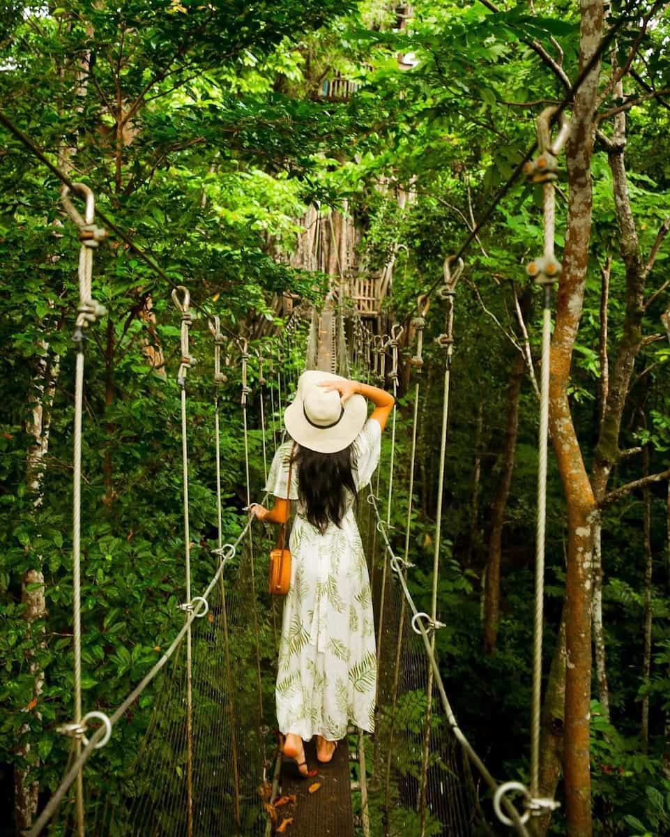 Falealupo Canopy Walkway, Samoa Falealupo Canopy Walkway, Samoa