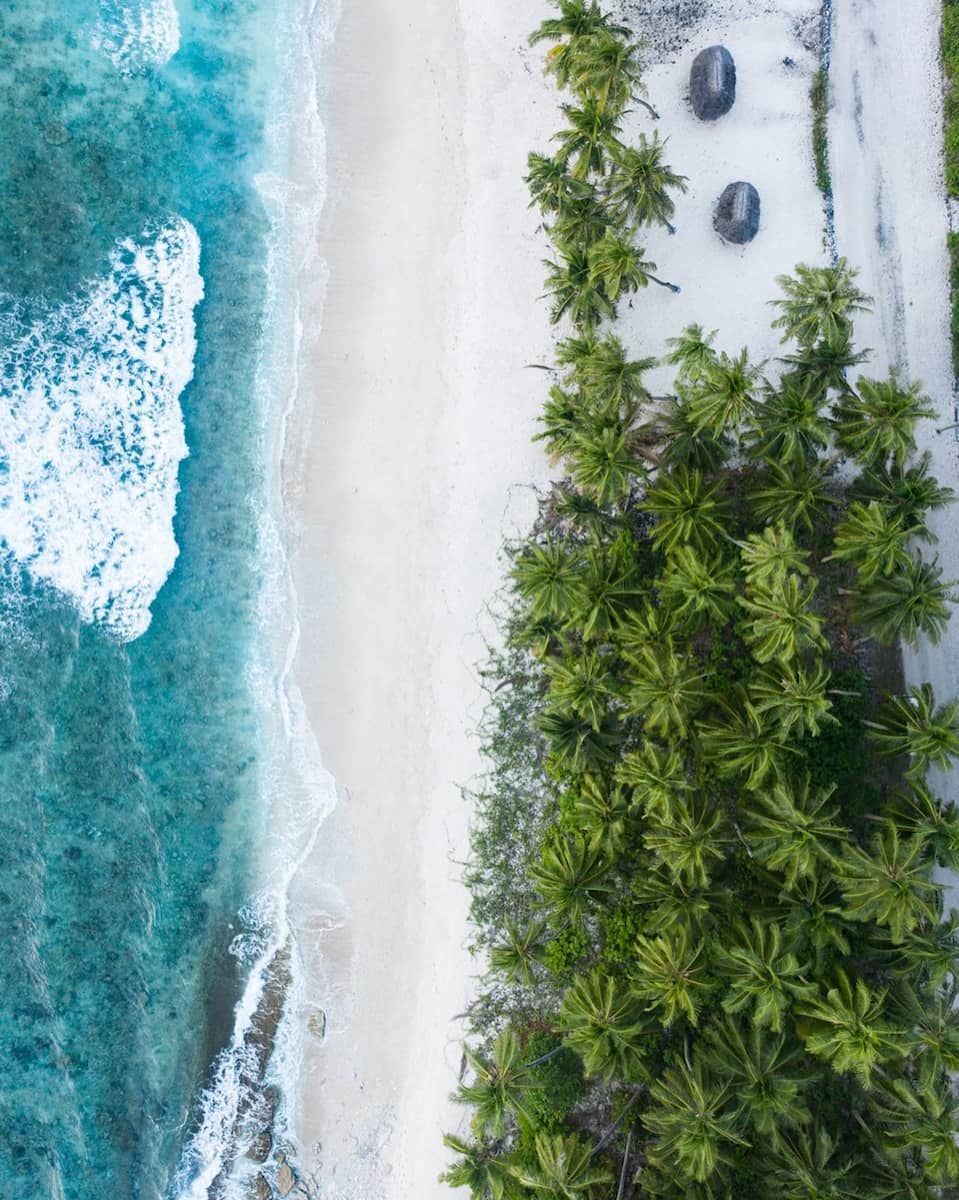 Falealupo Canopy Walkway, Samoa Falealupo Canopy Walkway, Samoa