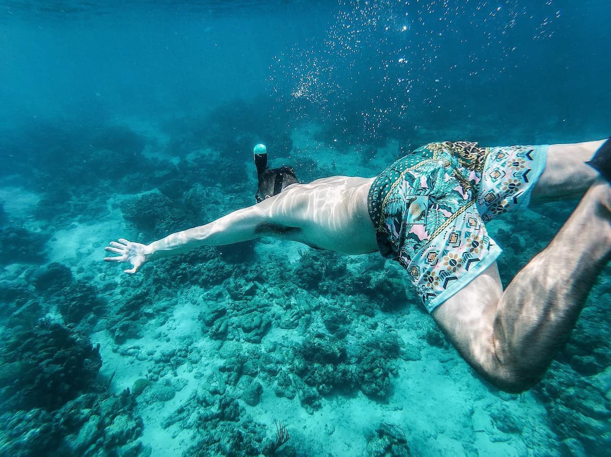 Flamenco Culebra Puerto Rico( Flamenco Culebra Puerto Rico(