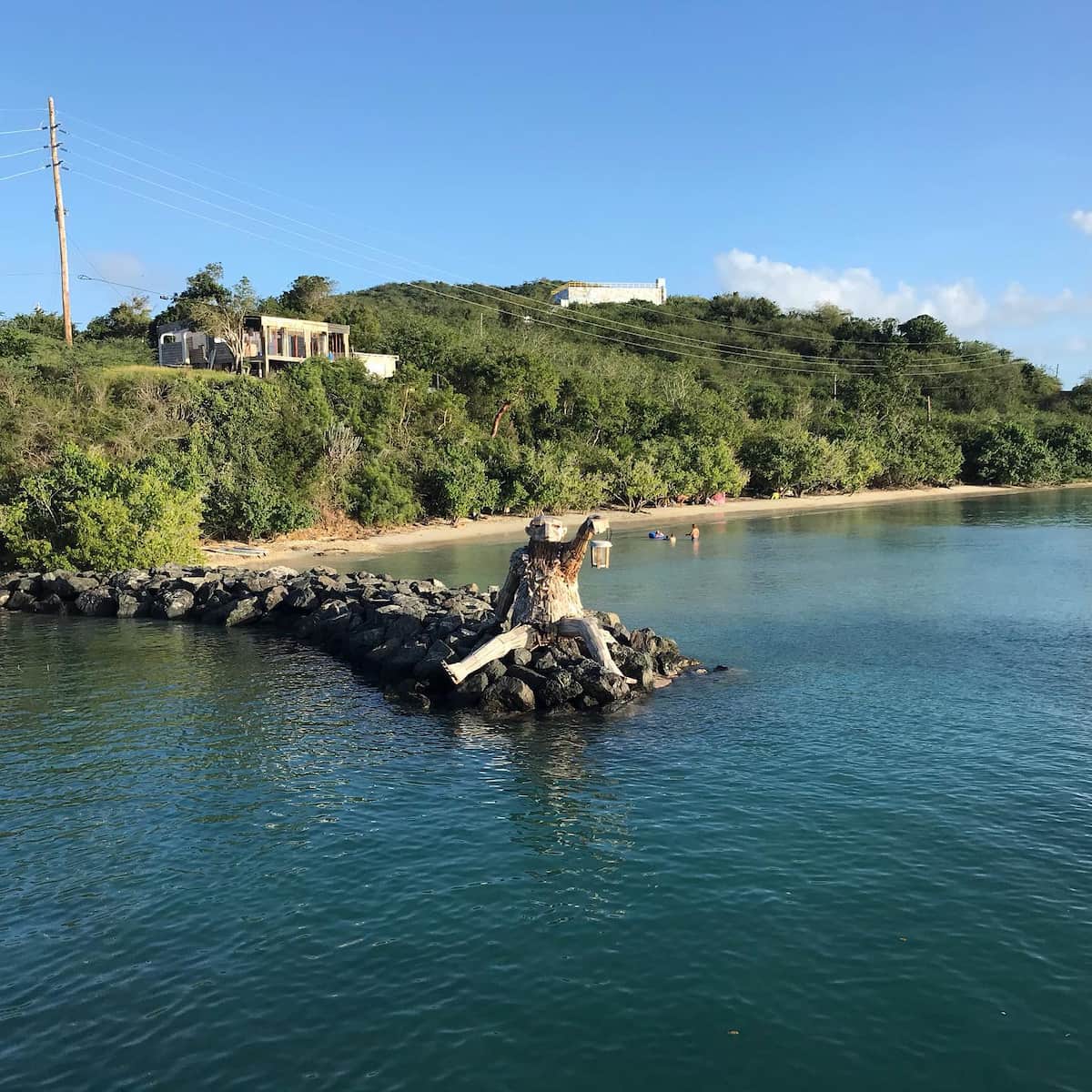 Flamenco Culebra Puerto Rico( Flamenco Culebra Puerto Rico(