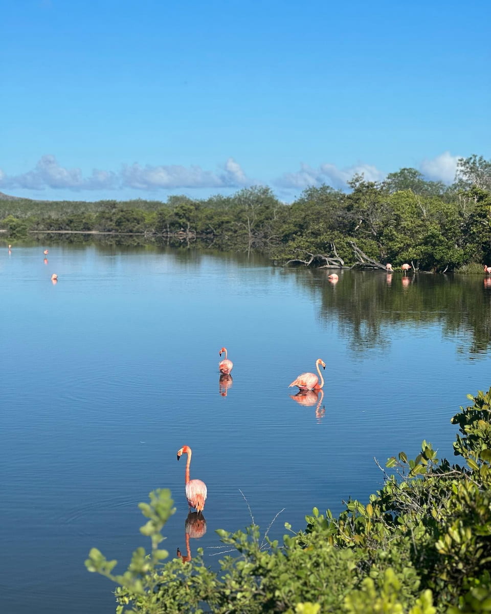 Floreana Island, Galapagos Island Floreana Island, Galapagos Island