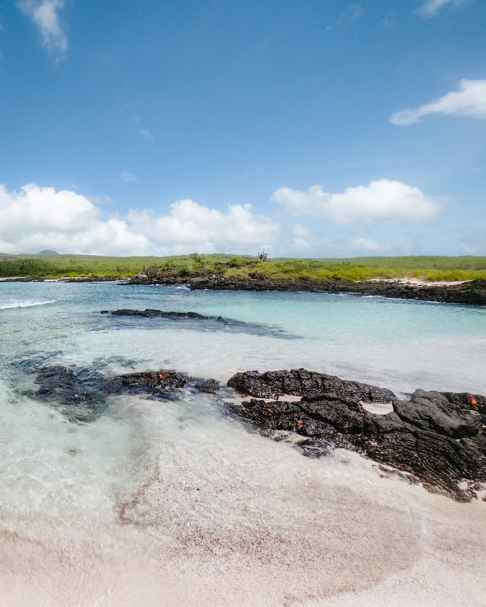 Floreana Island, Galapagos Island Floreana Island, Galapagos Island