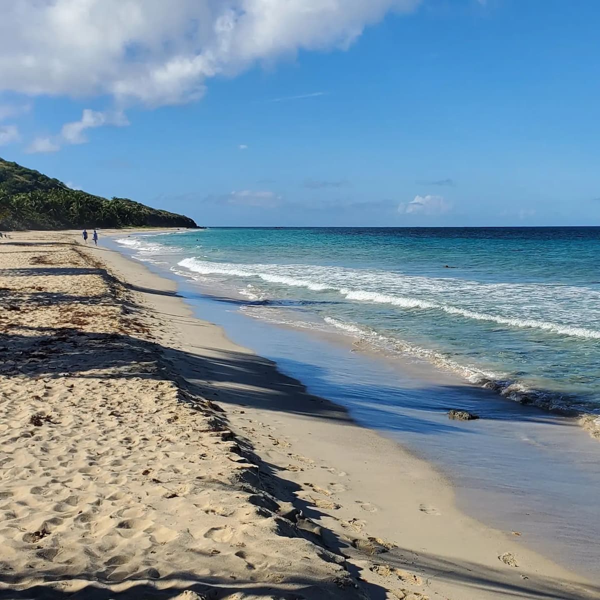 Fraile Culebra Puerto Rico