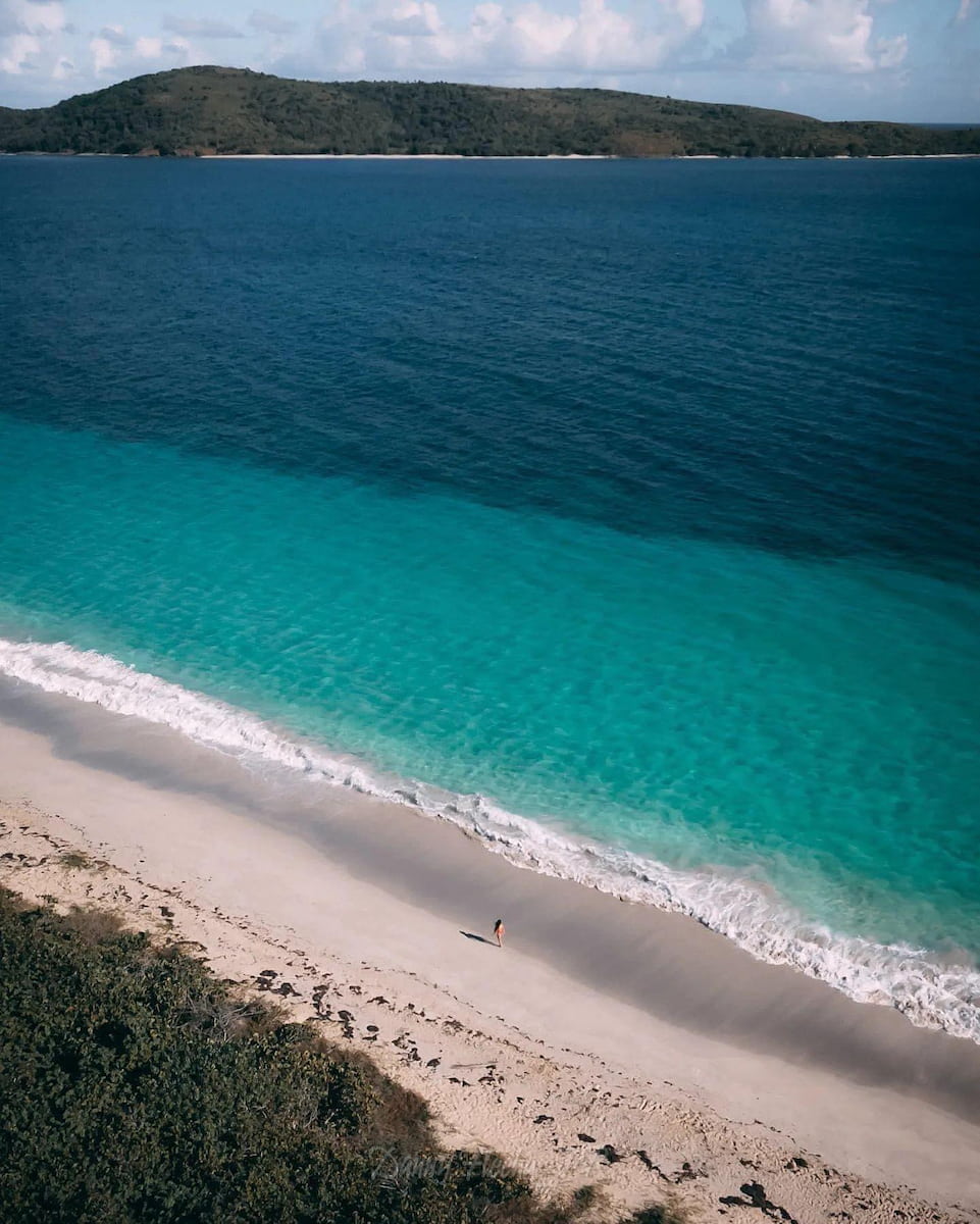 Fraile Culebra Puerto Rico Fraile Culebra Puerto Rico