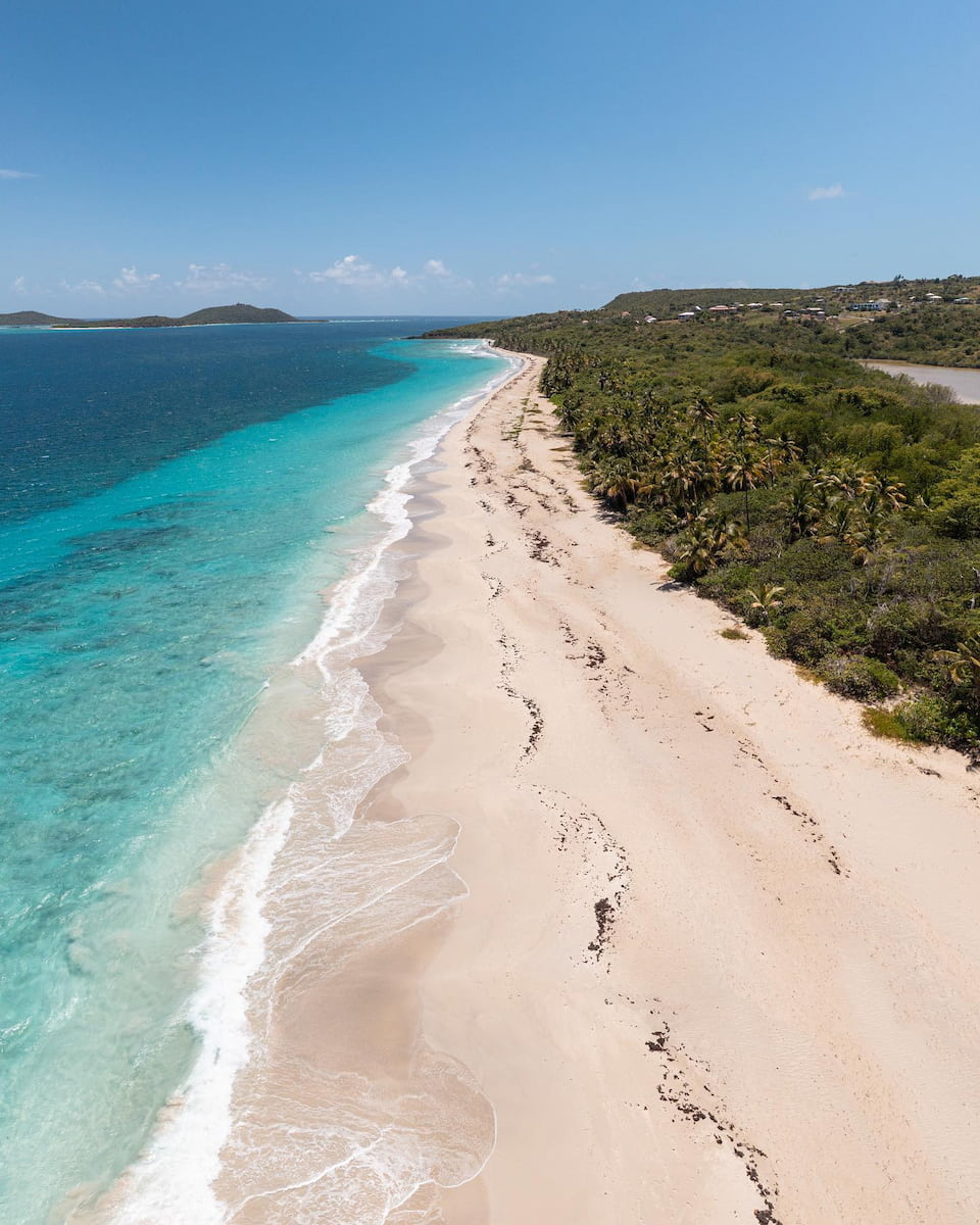 Fraile Culebra Puerto Rico