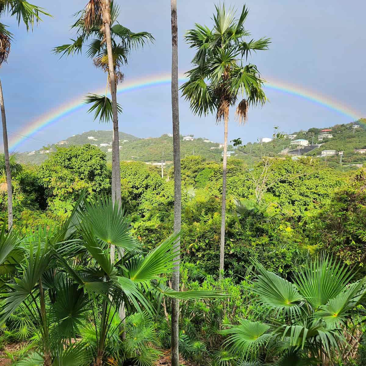 Great Cruz Bay St John USA Great Cruz Bay St John USA