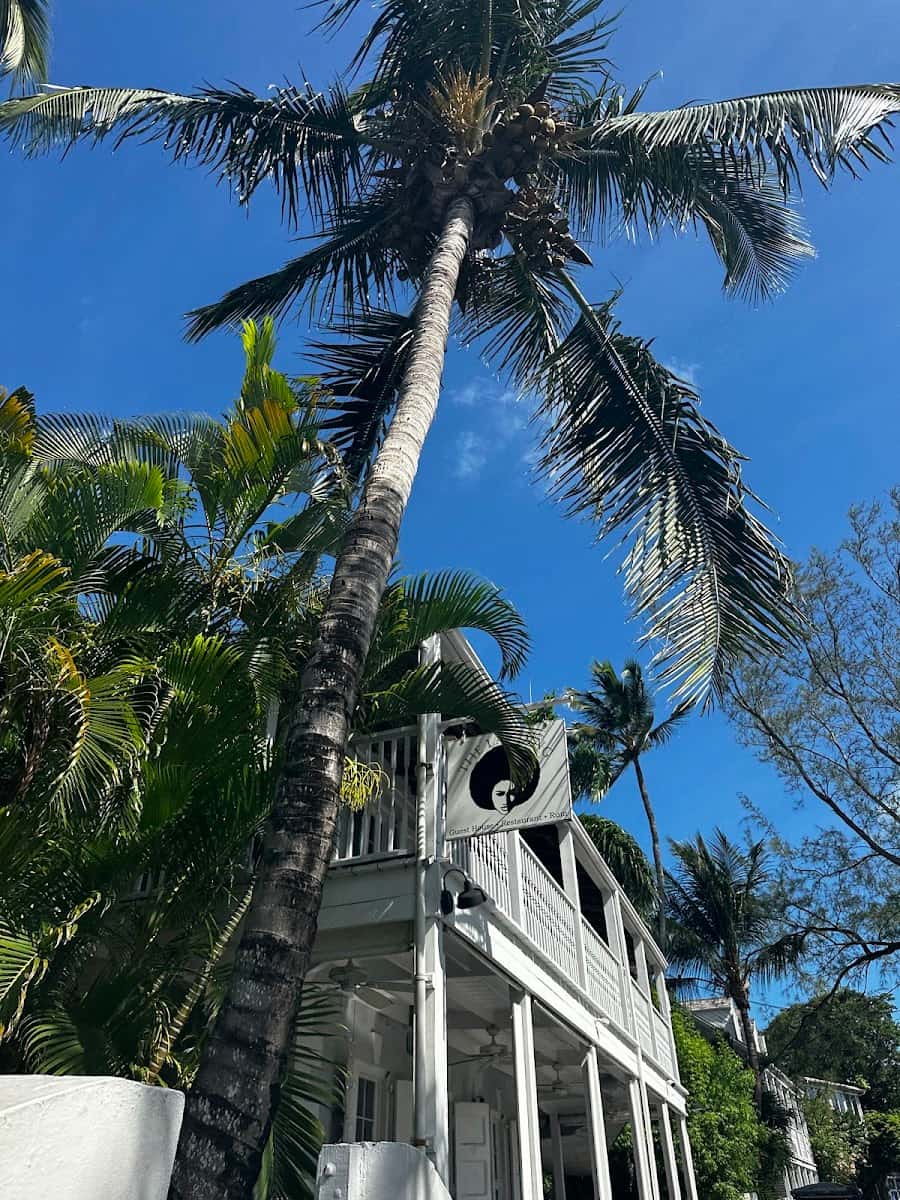 Harbour, Bay Street Harbour, Bay Street