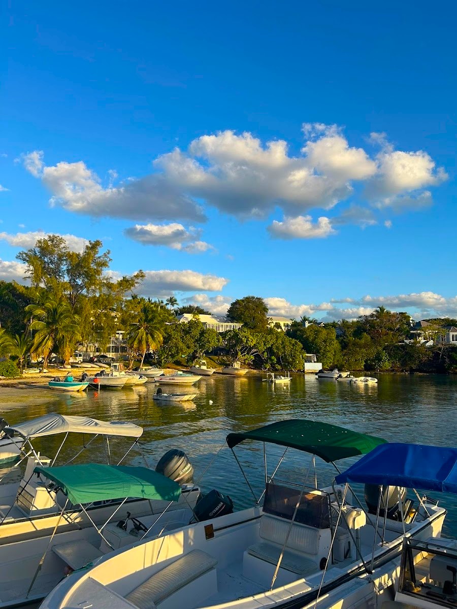 Harbour, Bay Street Harbour, Bay Street