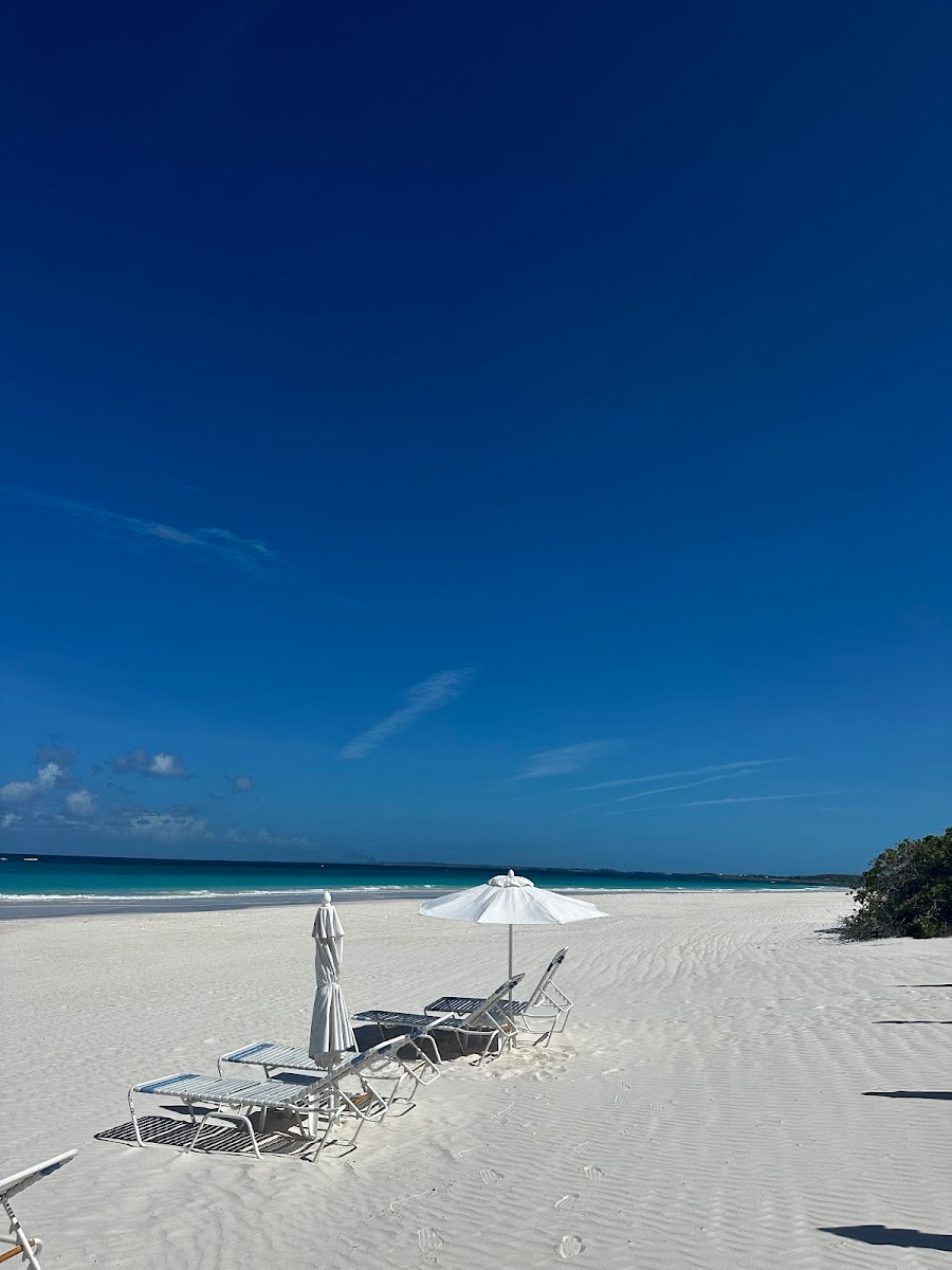 Harbour, Bay Street Harbour, Bay Street