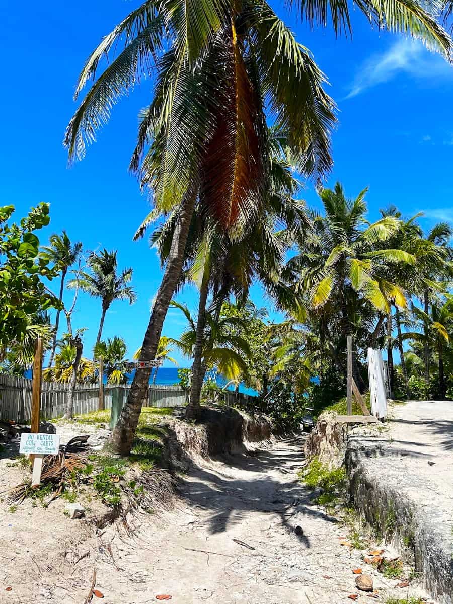 Harbour, Pink Sands Beach Harbour, Pink Sands Beach
