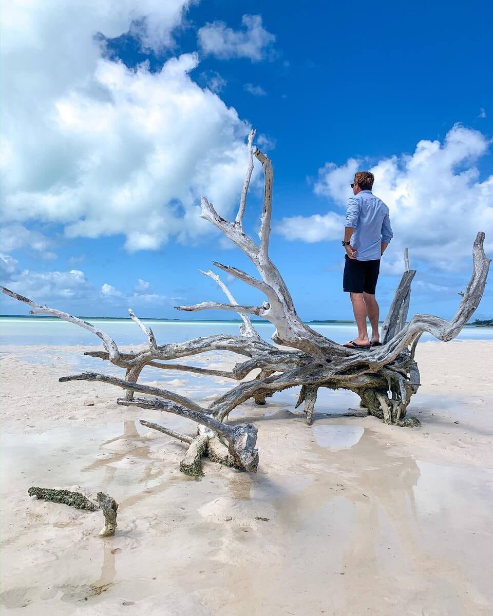 Harbour, The Lone Tree Harbour, The Lone Tree