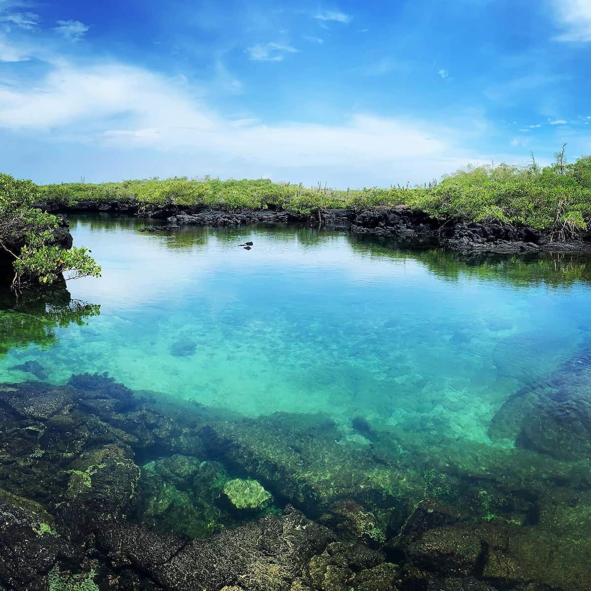 Isabela Island, Galapagos Island Isabela Island, Galapagos Island