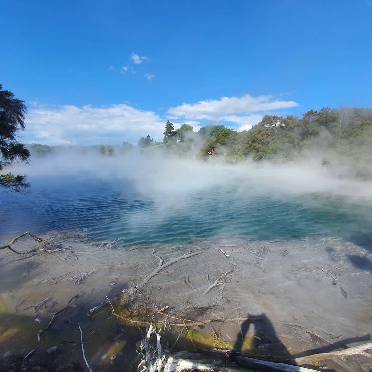 Kuirau Park Rotorua North island New Zealand Kuirau Park Rotorua North island New Zealand