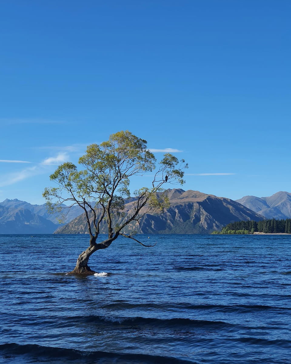 Lake Wanaka South island New Zealand Lake Wanaka South island New Zealand