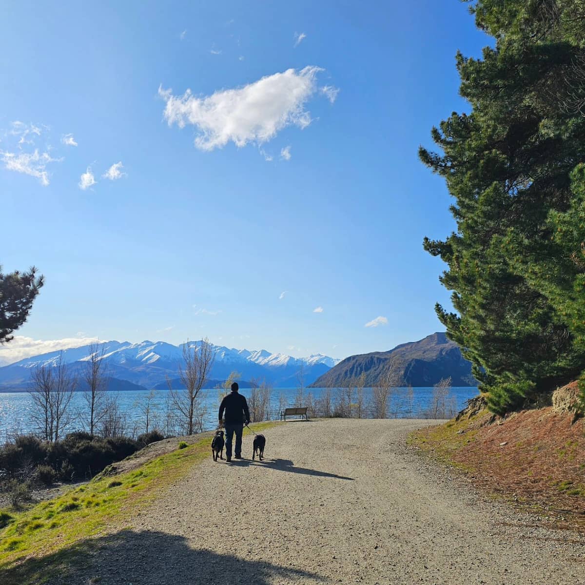 Lake Wanaka South island New Zealand Lake Wanaka South island New Zealand