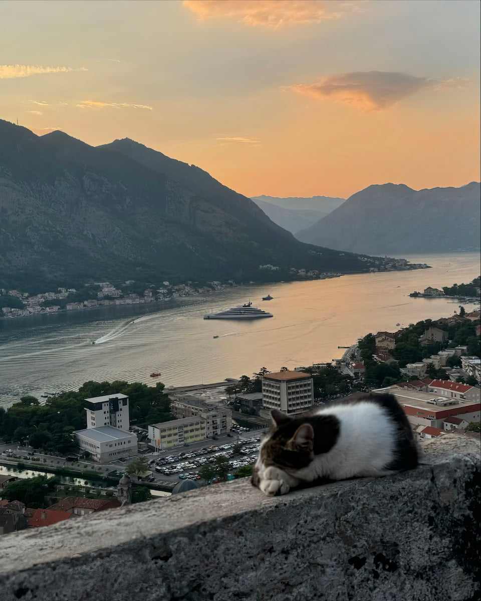 Montenegro, Kotor Bay Montenegro, Kotor Bay