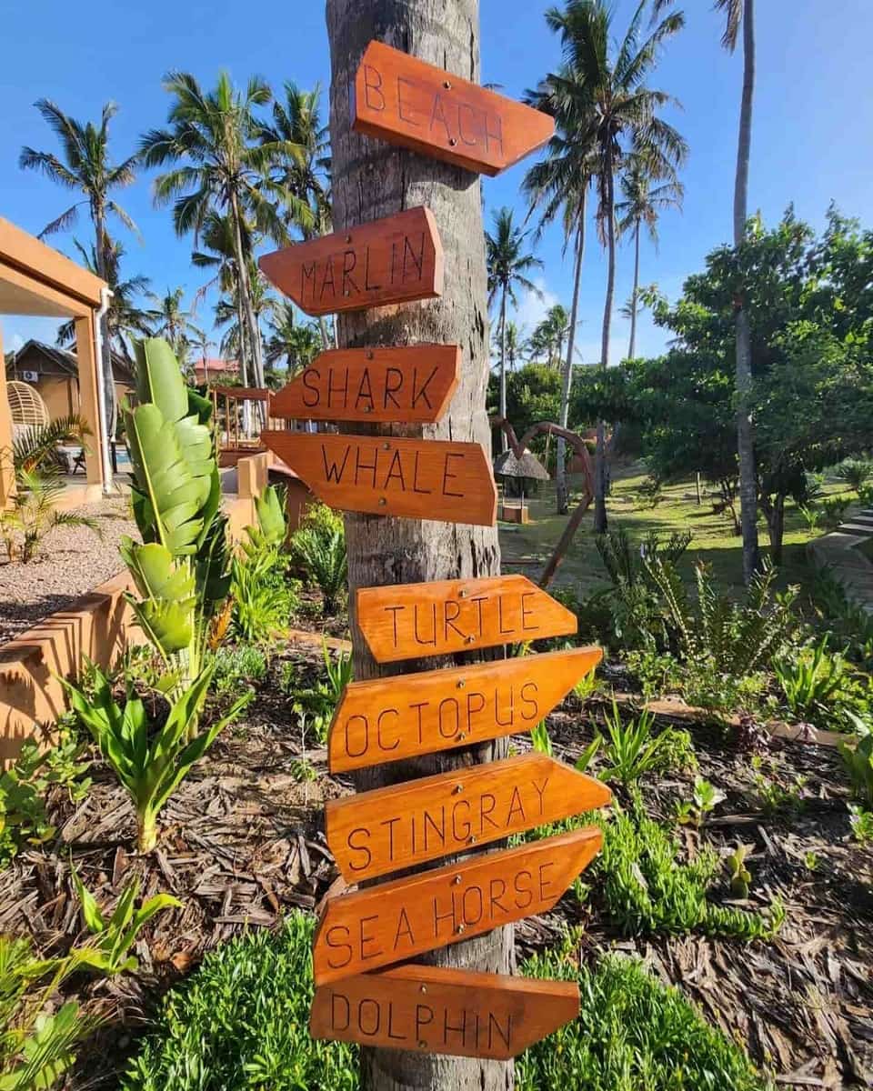 Mozambique, Tofo Beach Mozambique, Tofo Beach