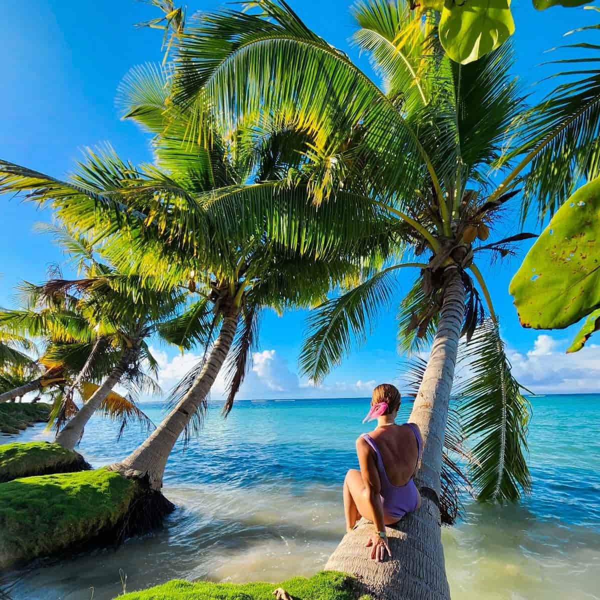 Panorama, Samoa Panorama, Samoa