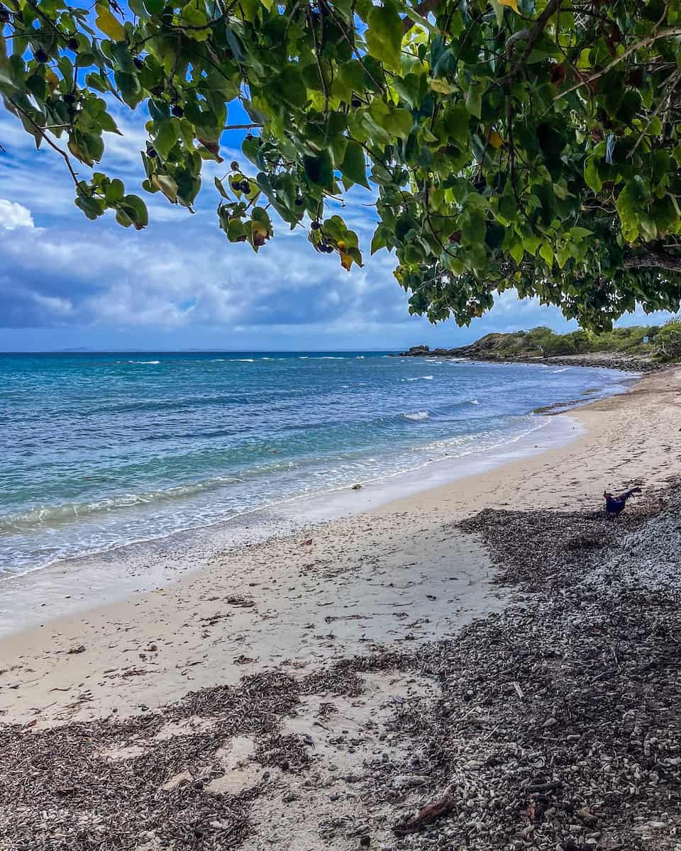 Playa Sardinas Culebra Puerto Rico Playa Sardinas Culebra Puerto Rico