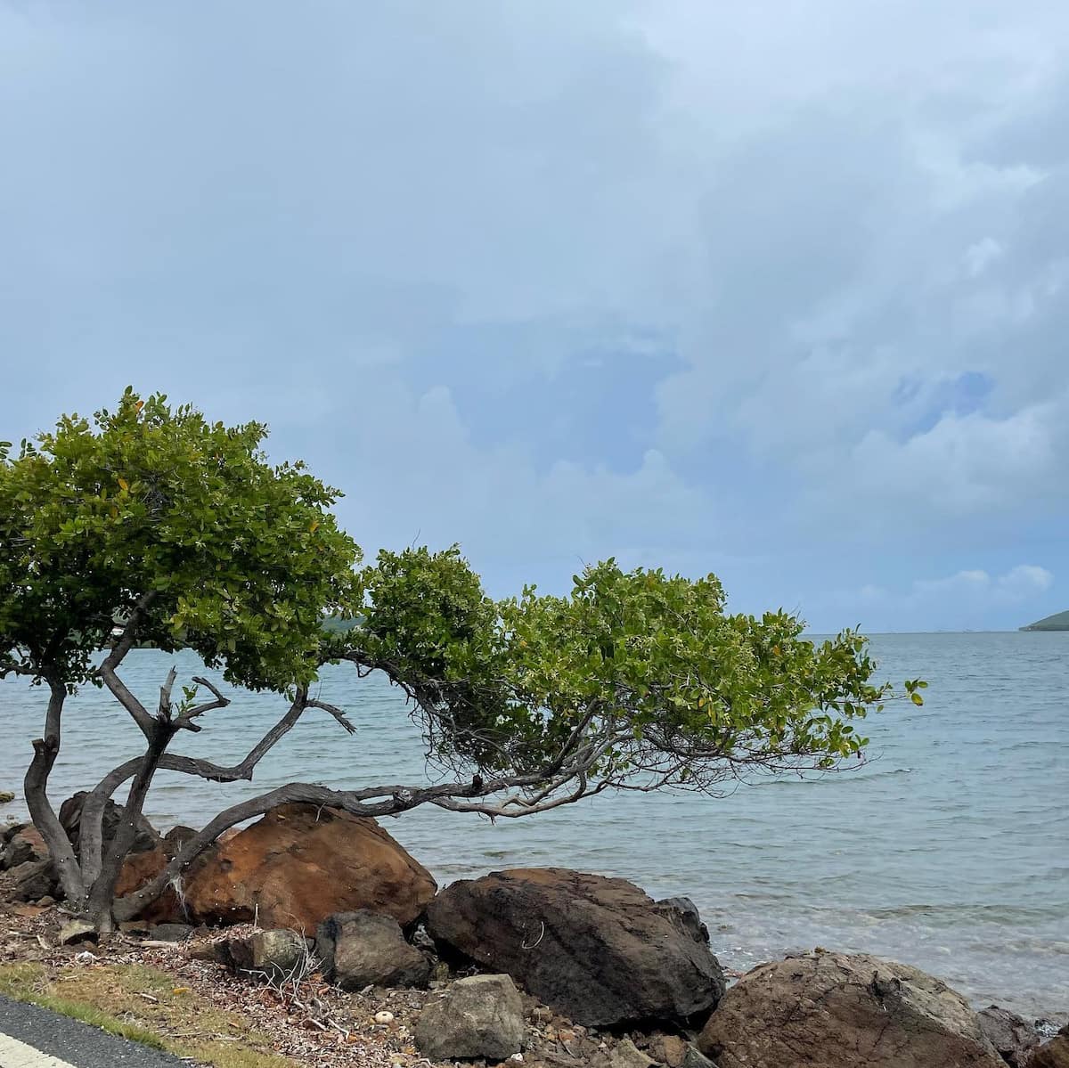 Playa Sardinas Culebra Puerto Rico Playa Sardinas Culebra Puerto Rico