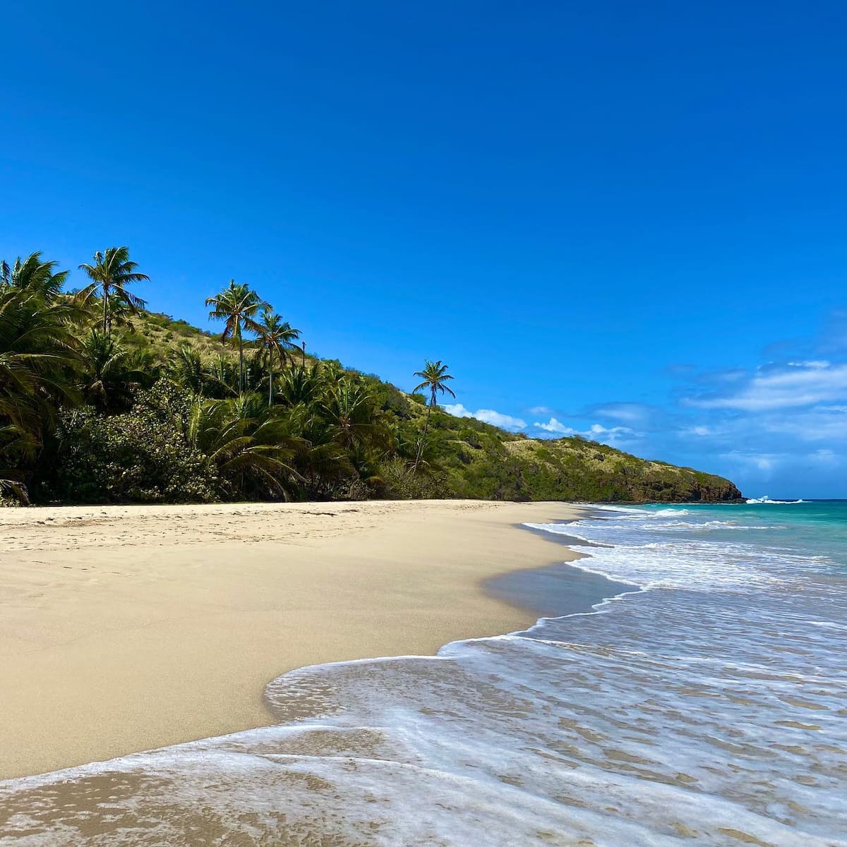 Playa Sardinas II Culebra Puerto Rico Playa Sardinas II Culebra Puerto Rico