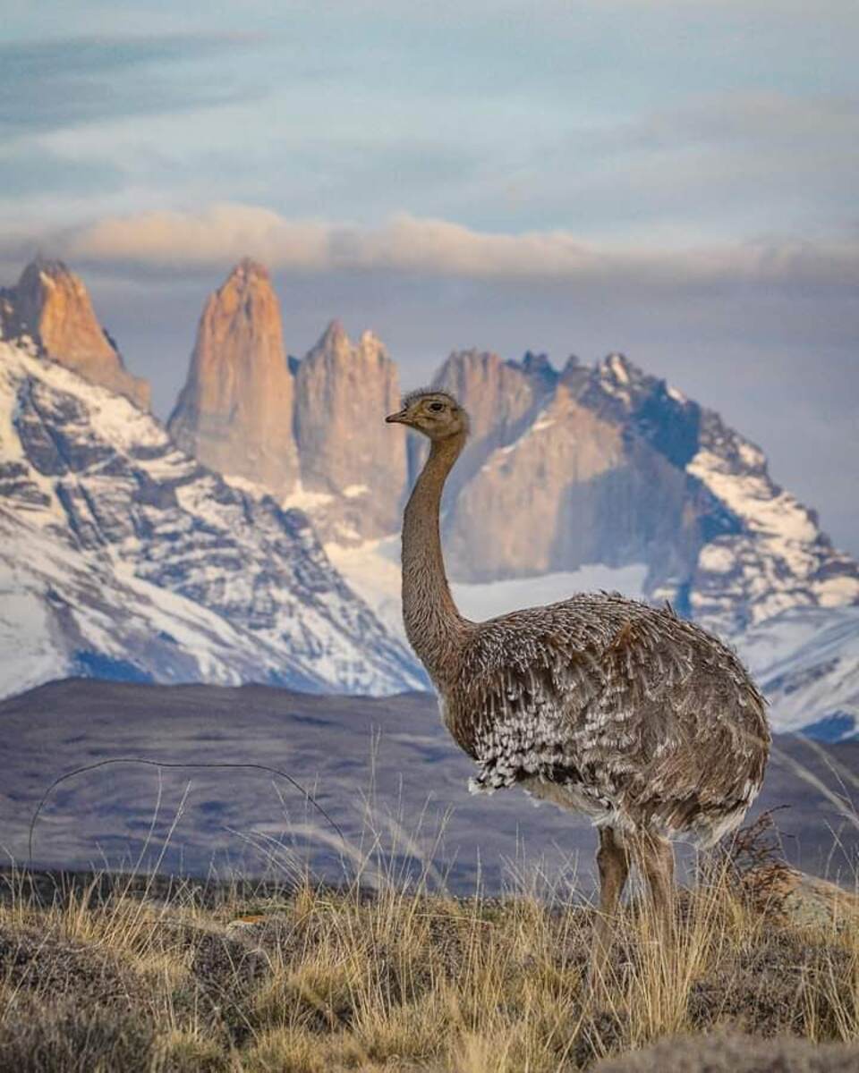 Puerto Natales Puerto Natales