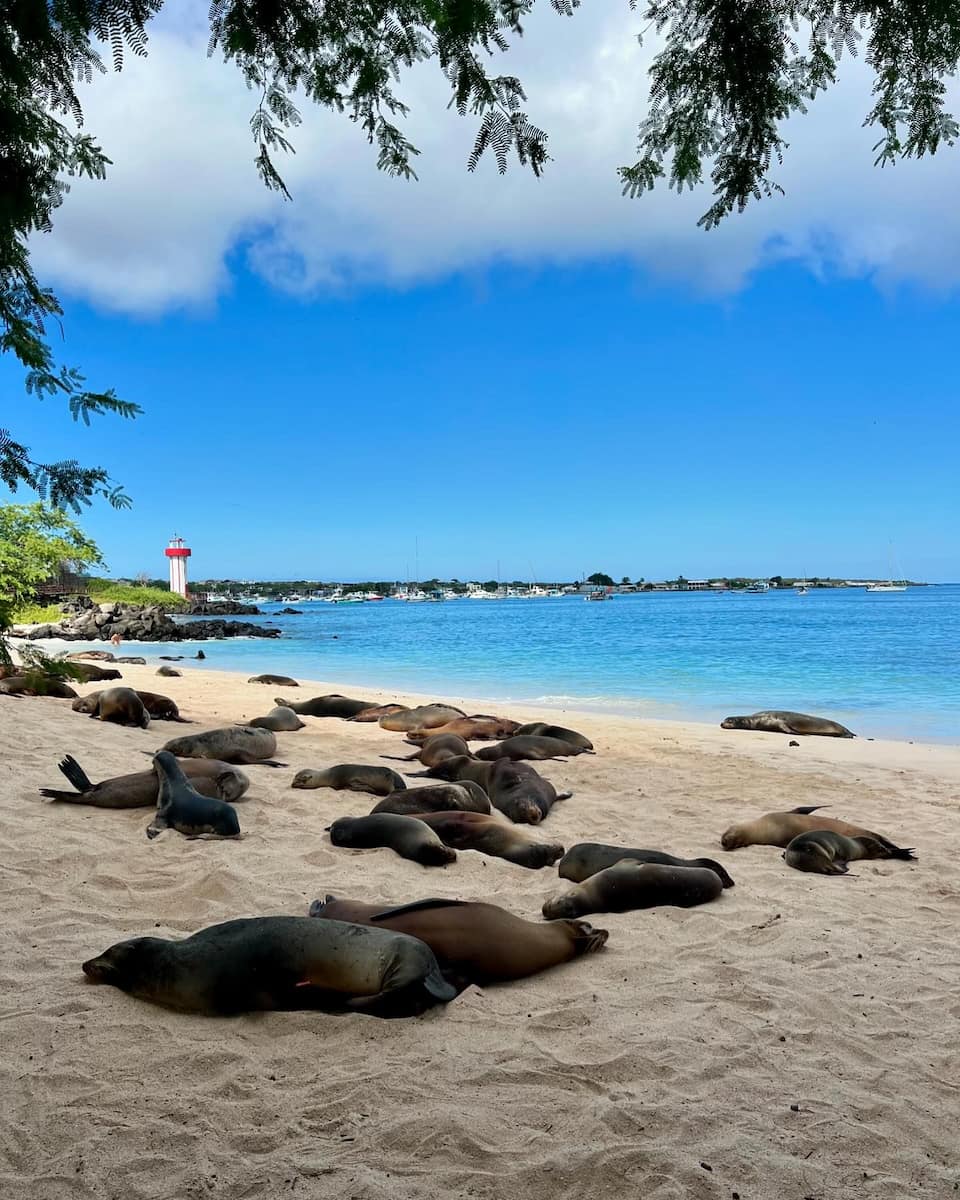 San Cristobal Island, Galapagos Island San Cristobal Island, Galapagos Island