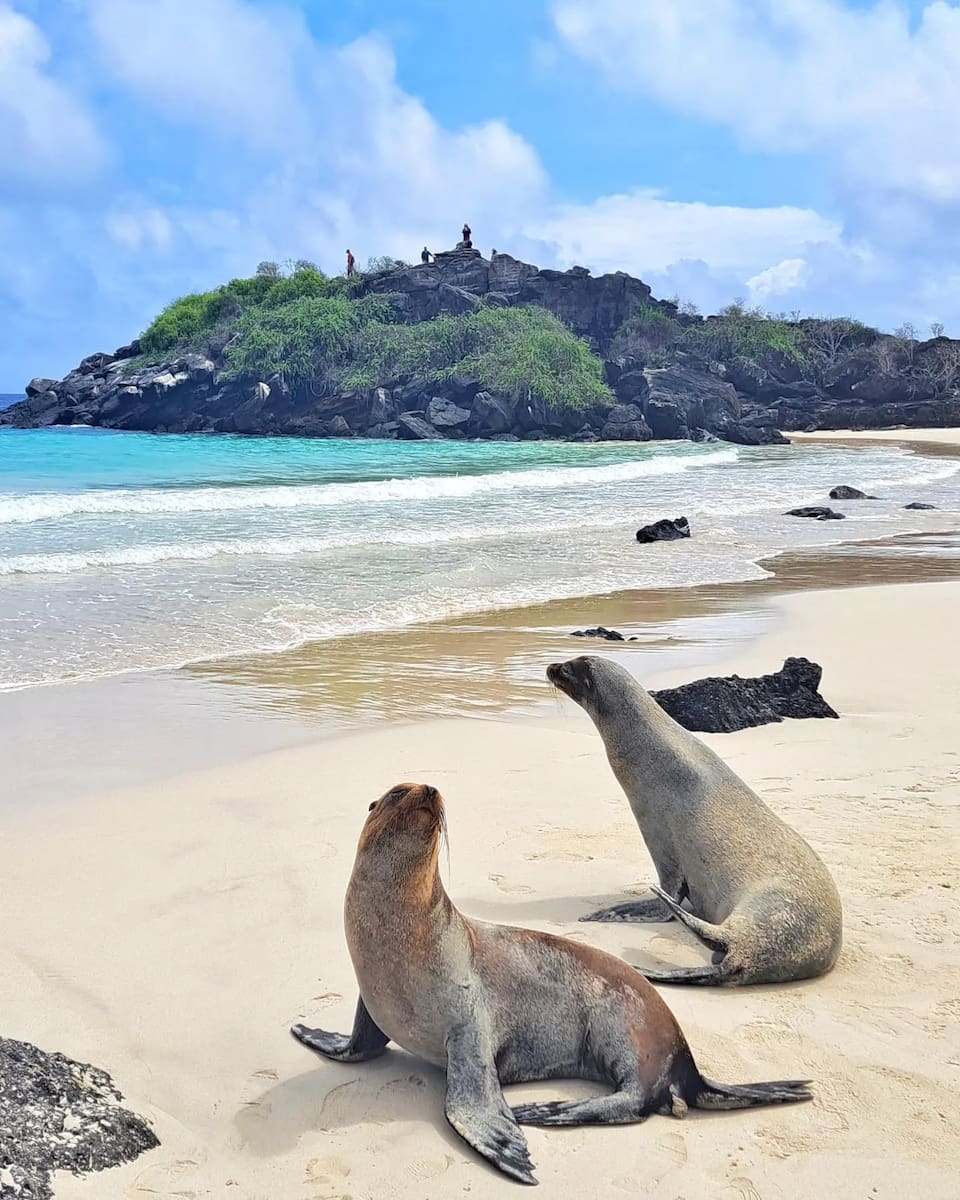San Cristobal Island, Galapagos Island San Cristobal Island, Galapagos Island