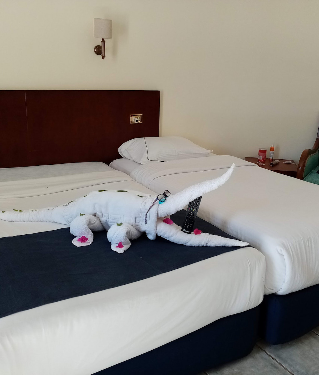 Sharm El Sheikh, Sharm Reef Resort Sharm El Sheikh, Sharm Reef Resort