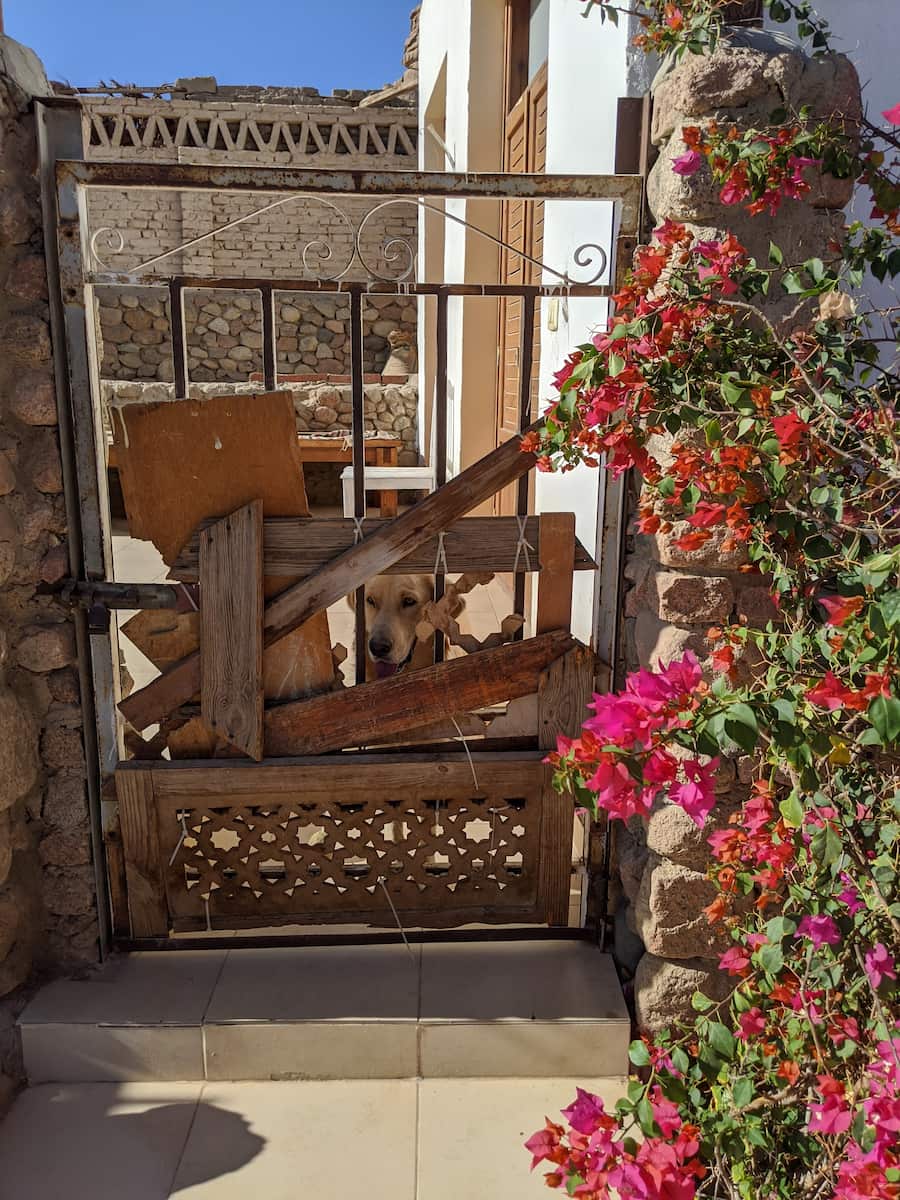 Sharm El Sheikh, Sinai Old Spices Sharm El Sheikh, Sinai Old Spices