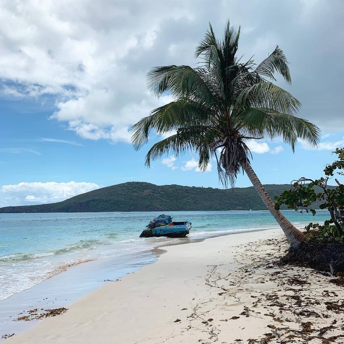 Tank Flamenco Culebra Puerto Rico Tank Flamenco Culebra Puerto Rico