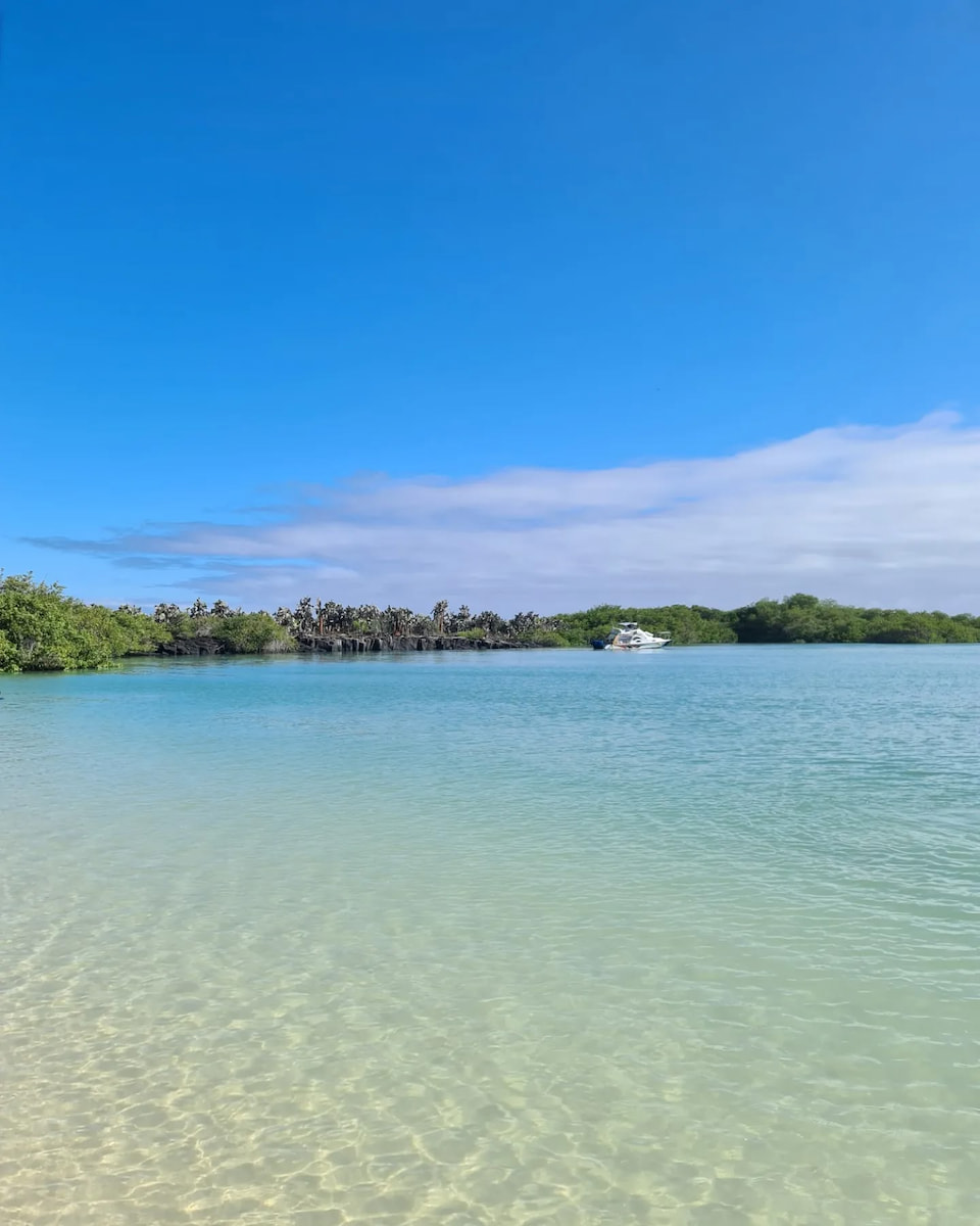 Tortuga Bay, Galapagos Island Tortuga Bay, Galapagos Island