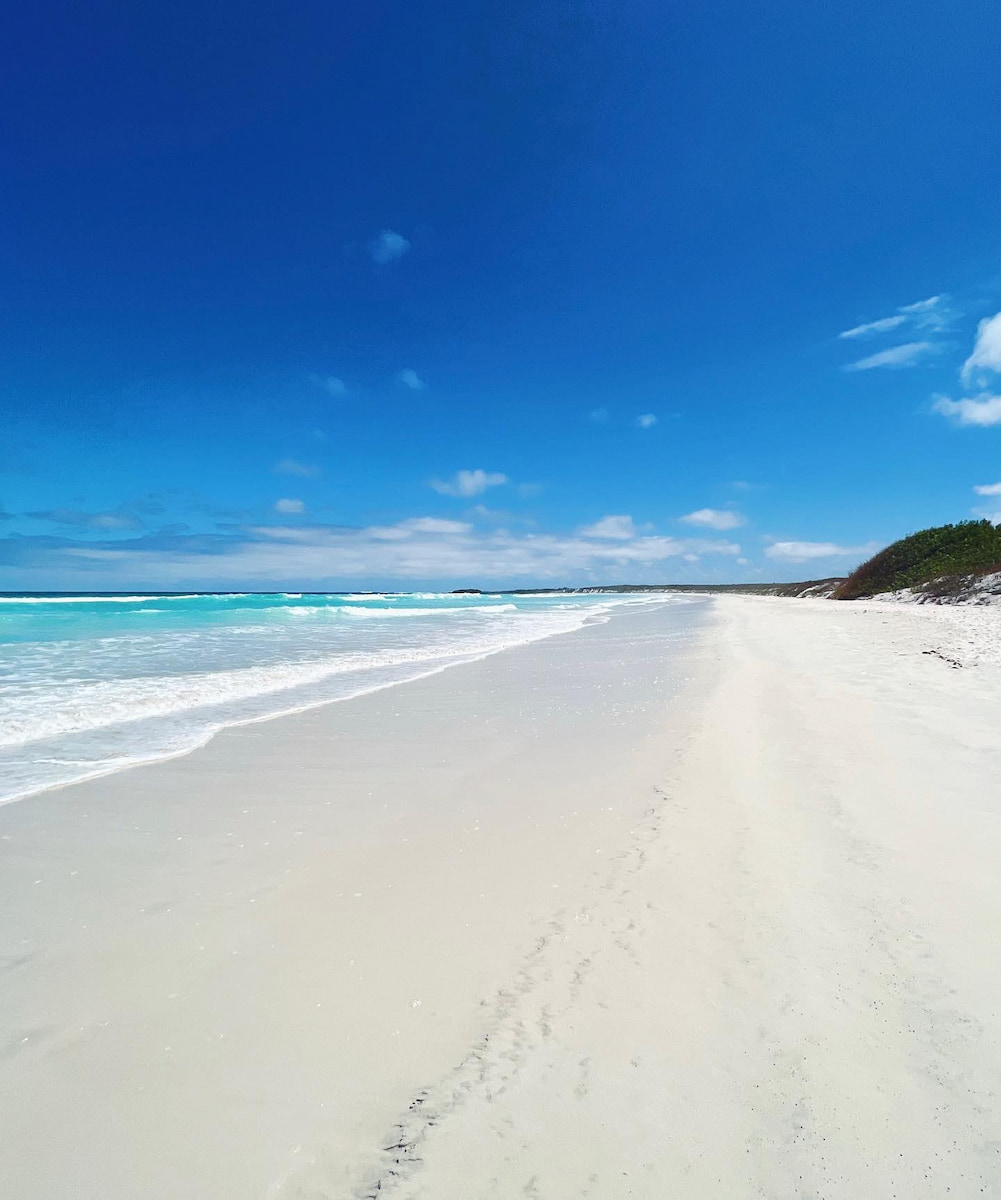 Tortuga Bay, Galapagos Island Tortuga Bay, Galapagos Island