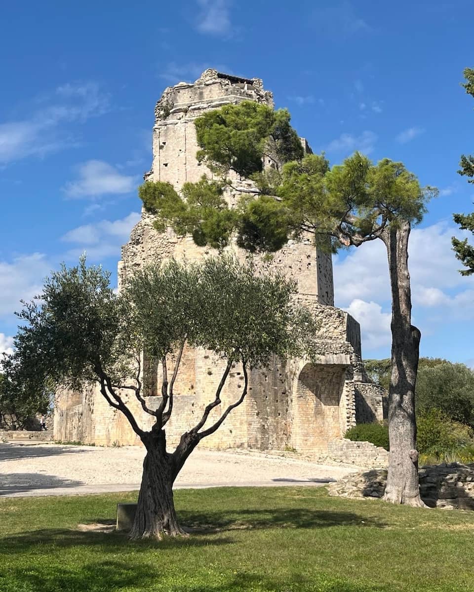 Tour Magne Nîmes France Tour Magne Nîmes France