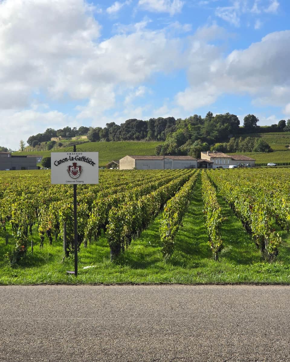 Vineyard Landscapes Saint Émilion France Vineyard Landscapes Saint Émilion France