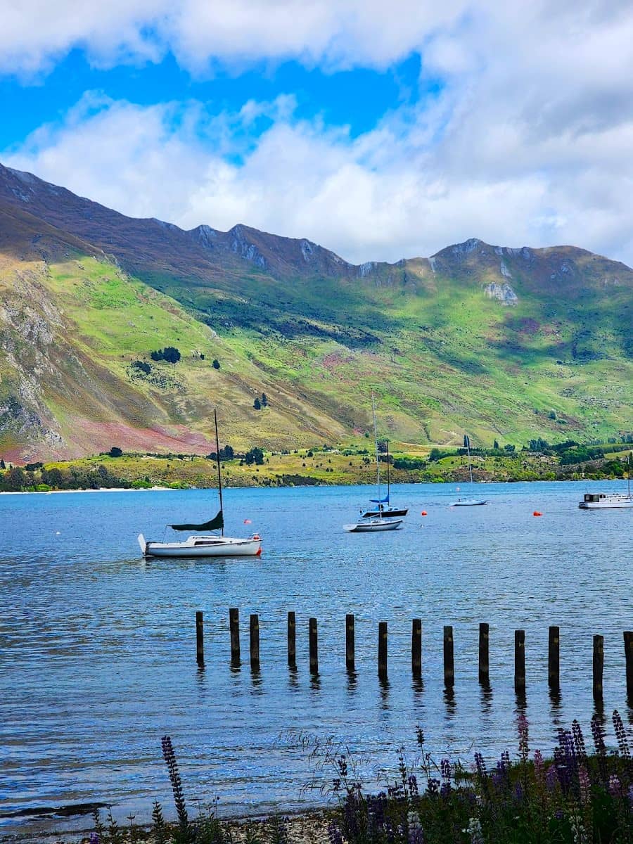 Wanaka, Eely Point Wanaka, Eely Point