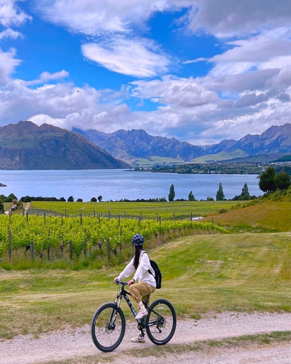 Wanaka, Rippon Vineyard Wanaka, Rippon Vineyard
