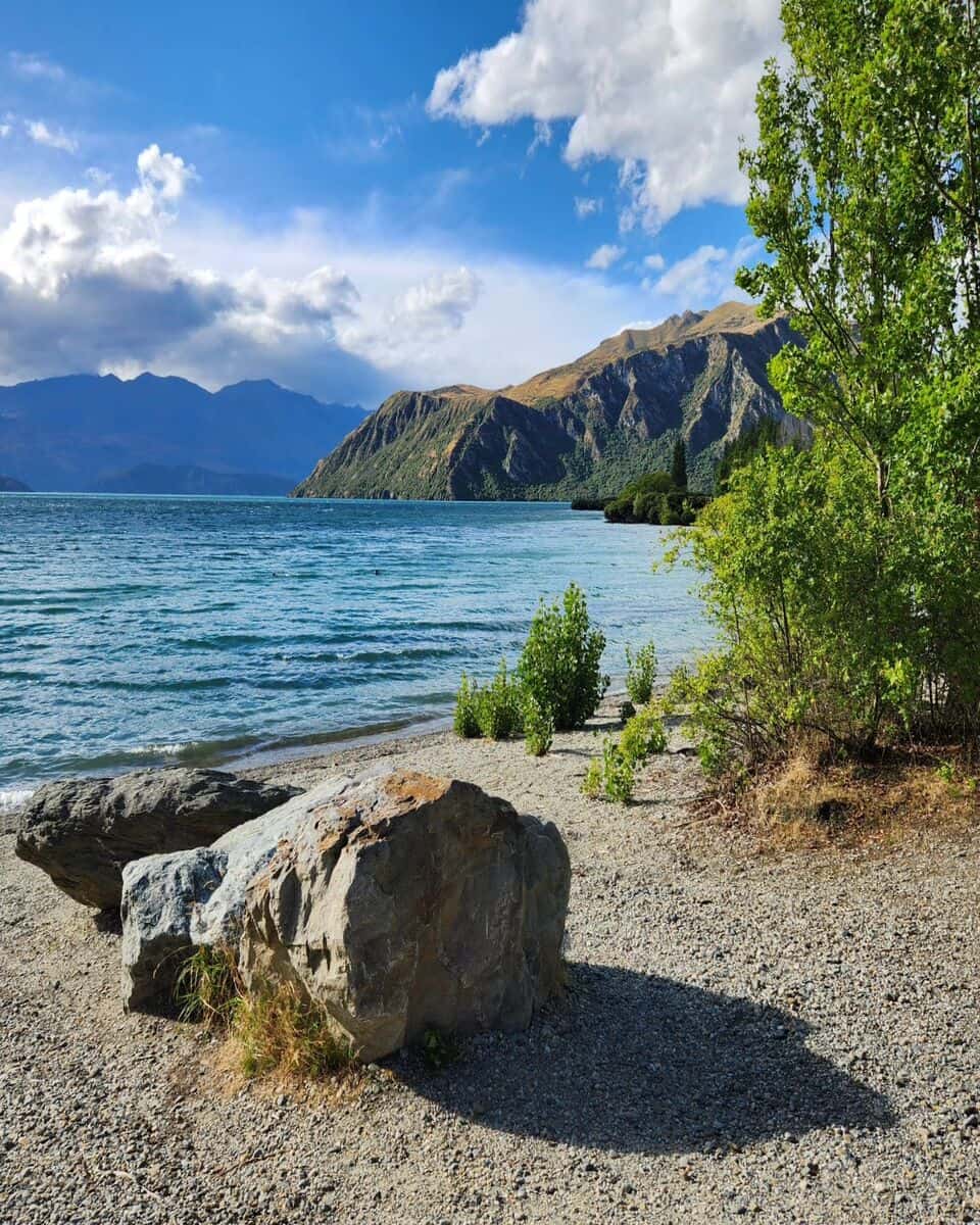 Wanaka, Shores of Lake Wanaka Wanaka, Shores of Lake Wanaka