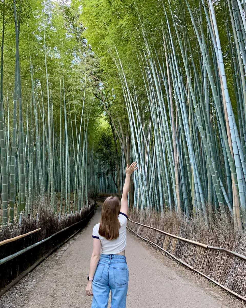 Arashiyama Bamboo Grove, Kyoto Arashiyama Bamboo Grove, Kyoto