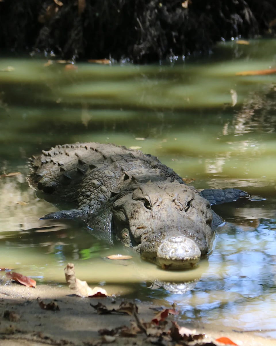 Arugam Bay, Sri Lanka Arugam Bay, Sri Lanka