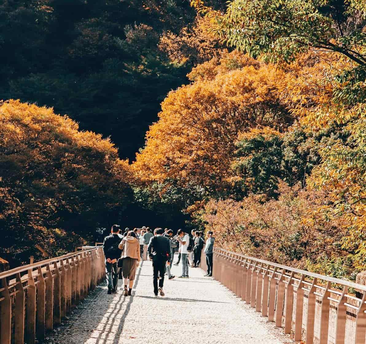 Autumnal Equinox Day, Japan Autumnal Equinox Day, Japan