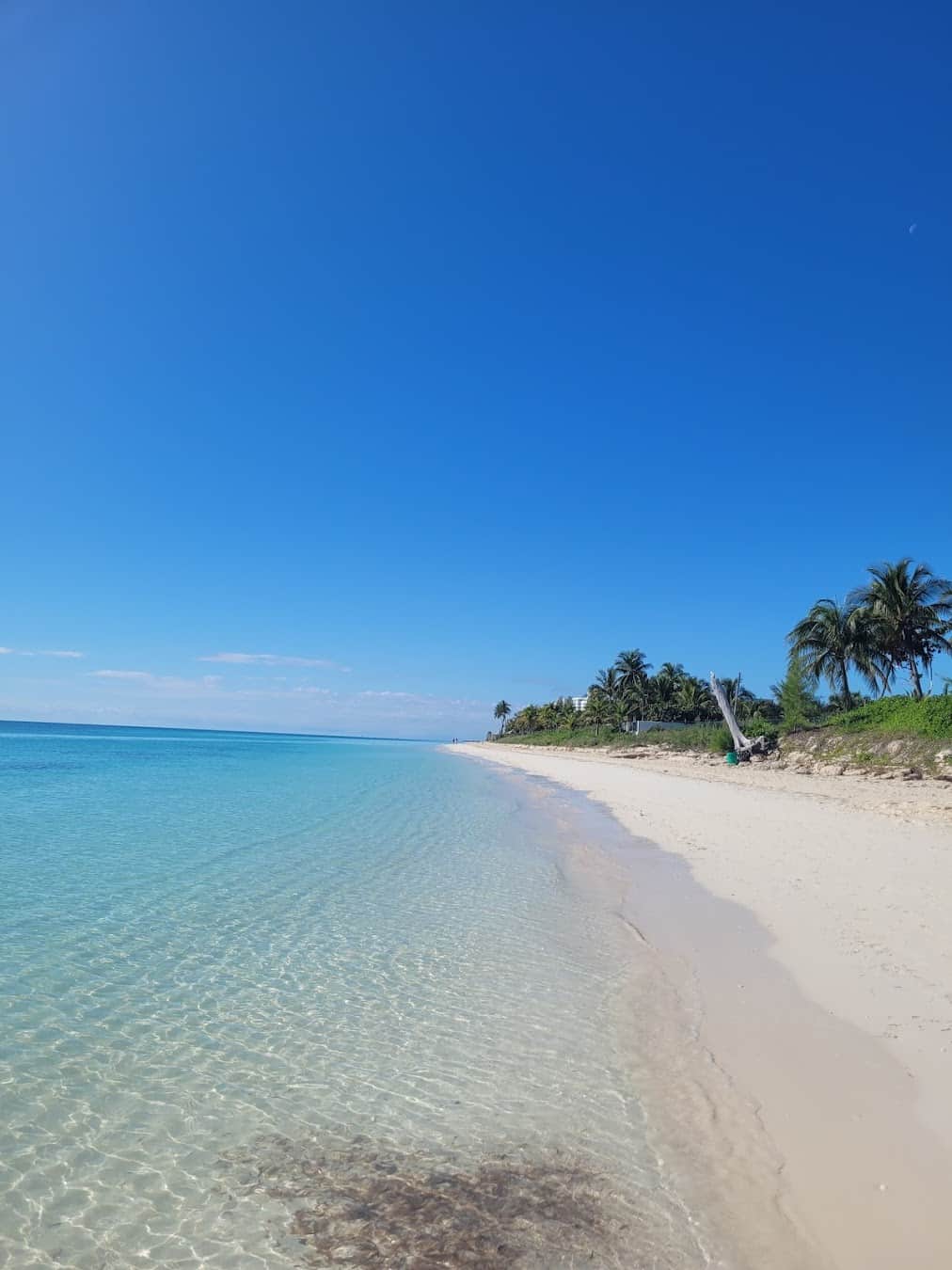 Bahamas_Sun_soaked_1 Bahamas Sun soaked