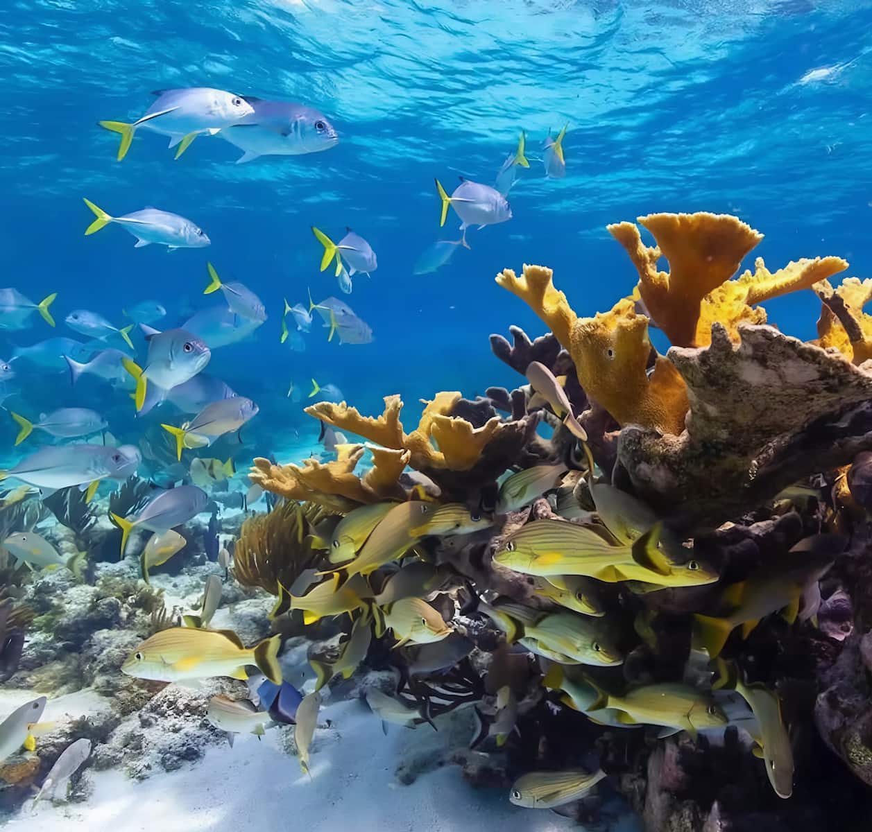 Beach alternatives, Mexico Beach alternatives, Mexico