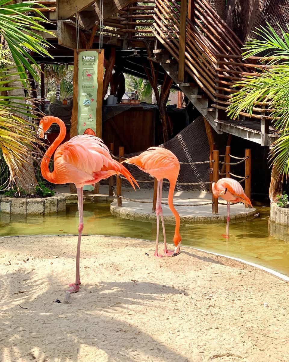 Beach bliss Beach bliss