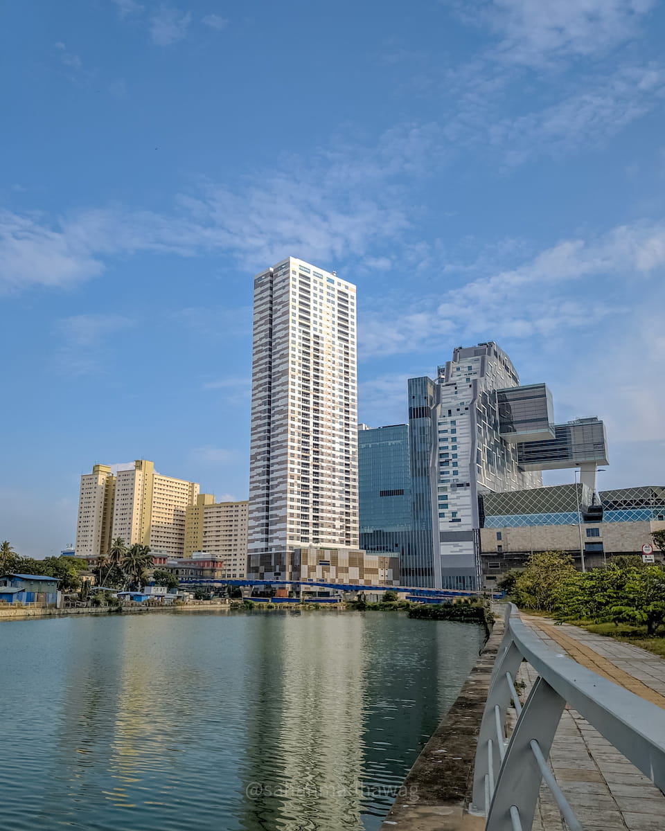 City and nature City and nature