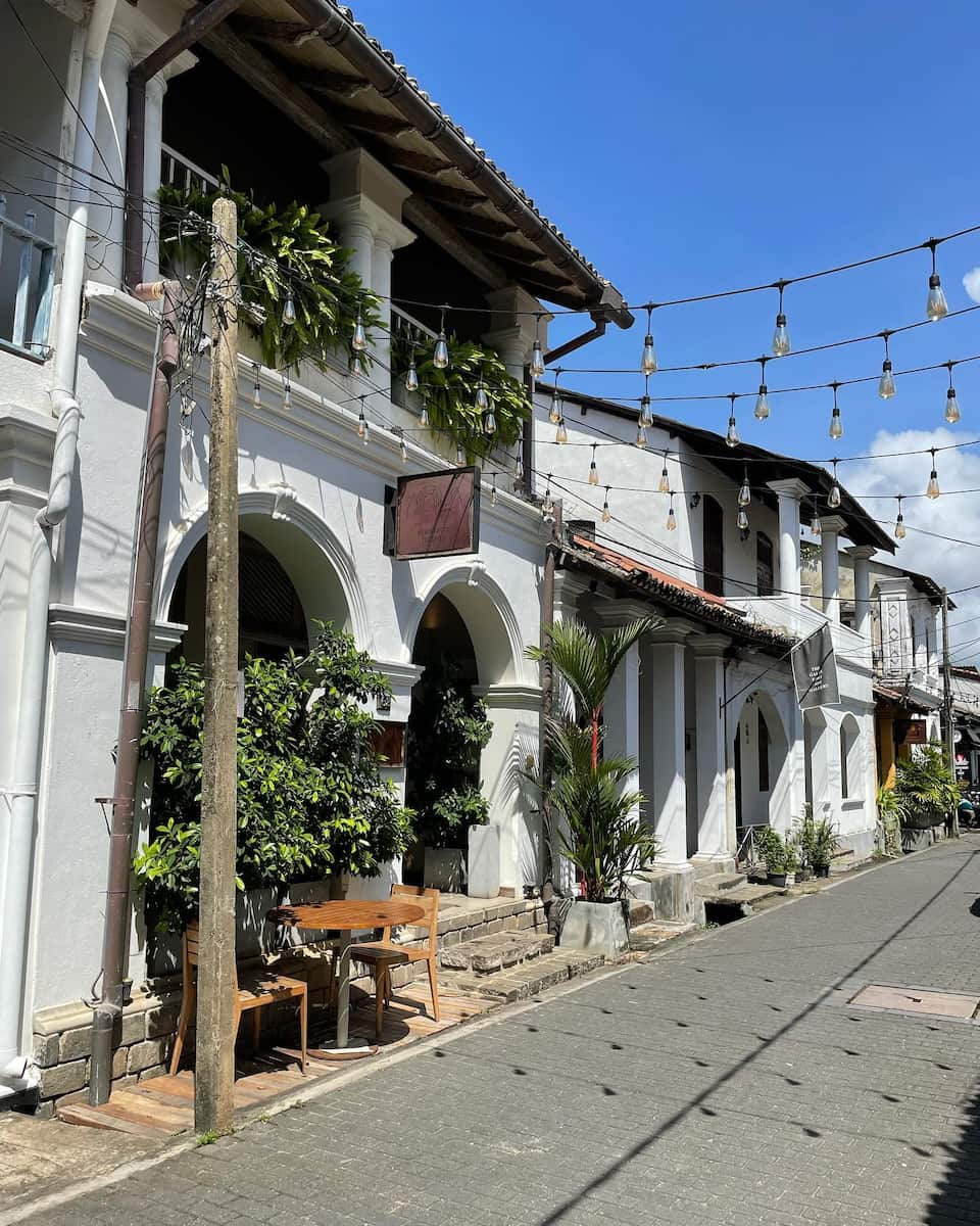 City and nature City and nature