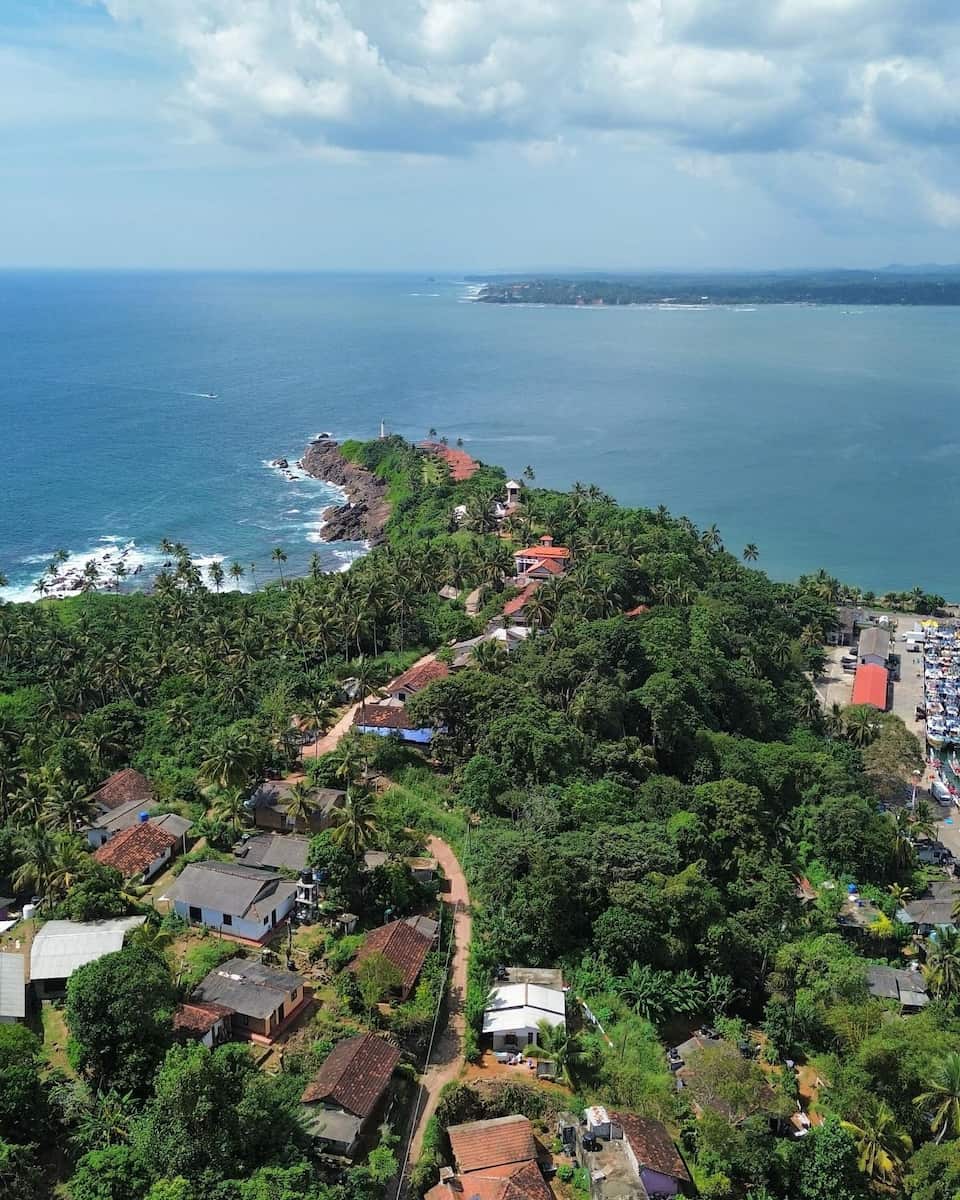 City and nature City and nature