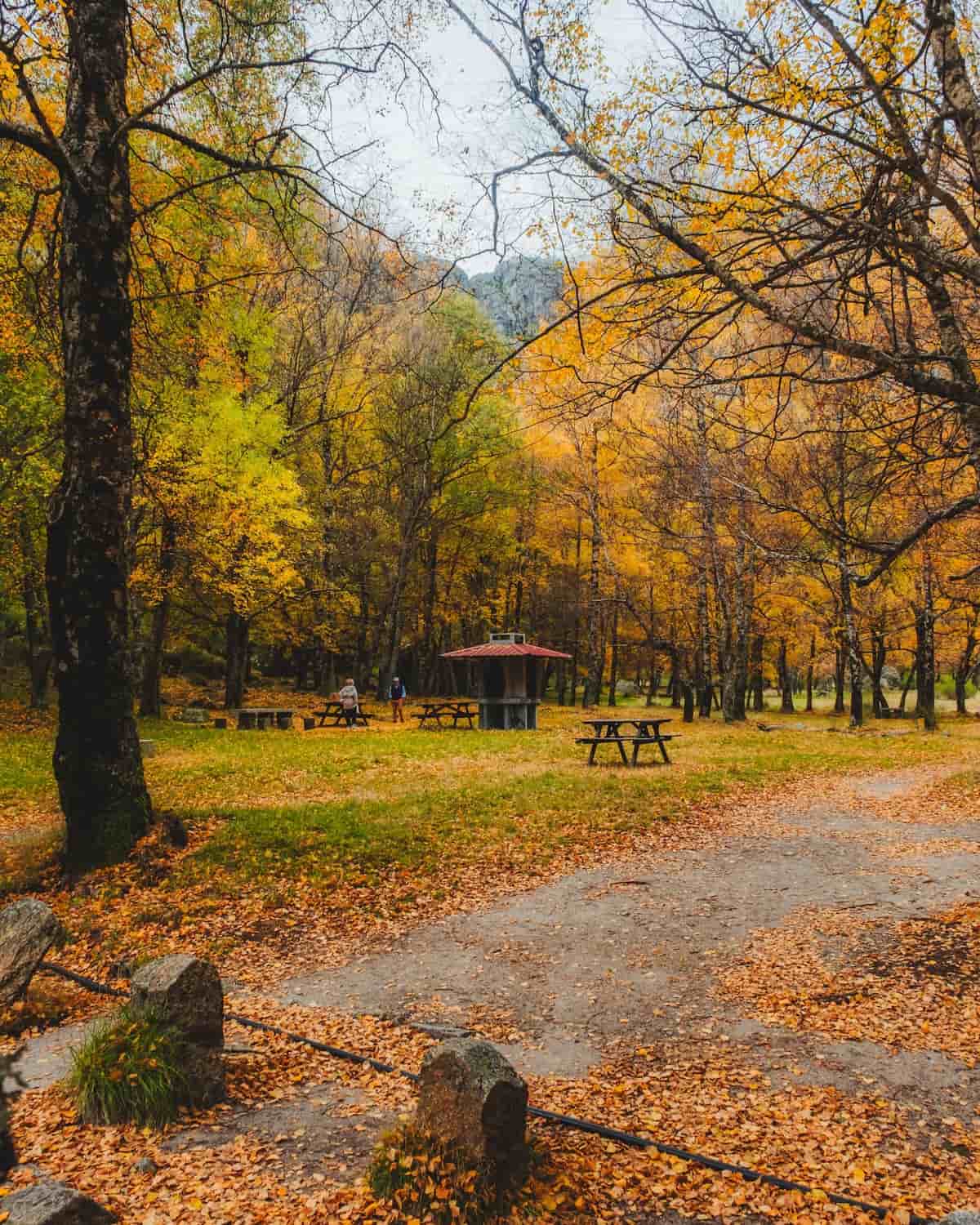 Covão Da Ametade, Portugal Covão Da Ametade, Portugal