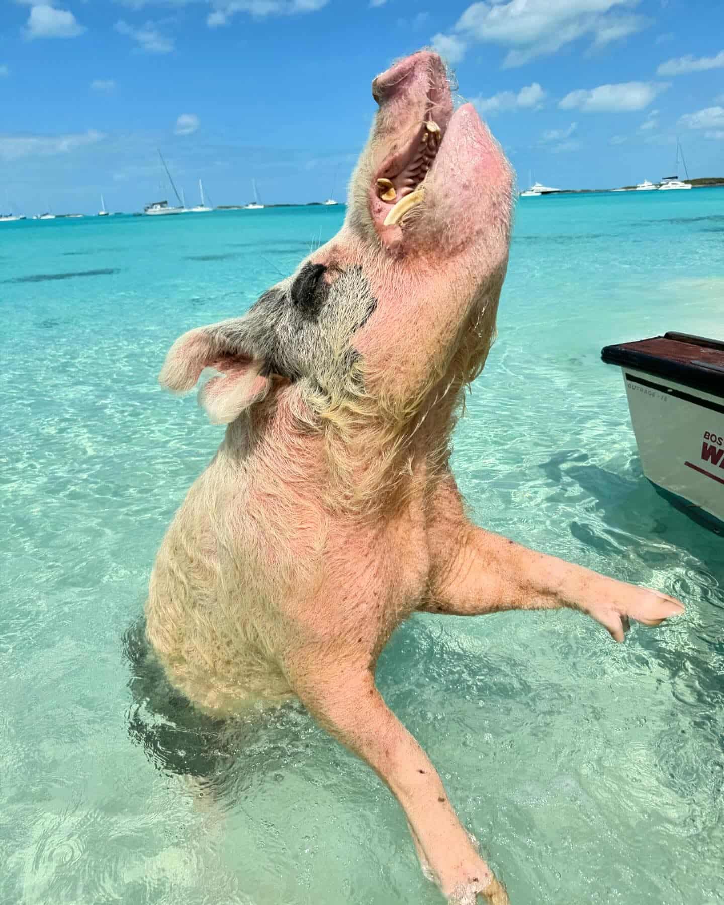 Exuma, Bahamas Exuma, Bahamas