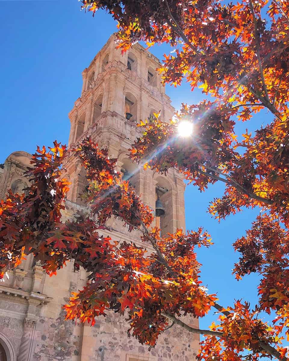 Fall in Mexico Fall in Mexico